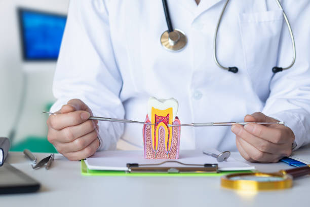 Best Walk-In Emergency Dental Services in Ferndale, PA
